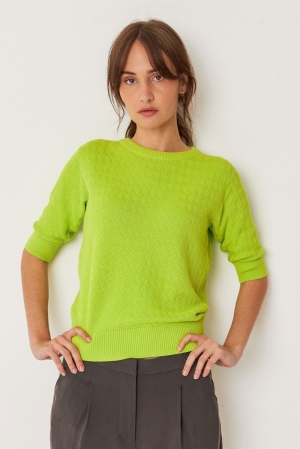  s25g1 acid gree