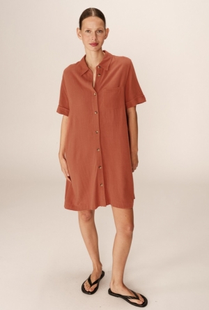  terracotta