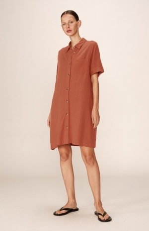  terracotta