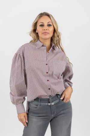 aubergine