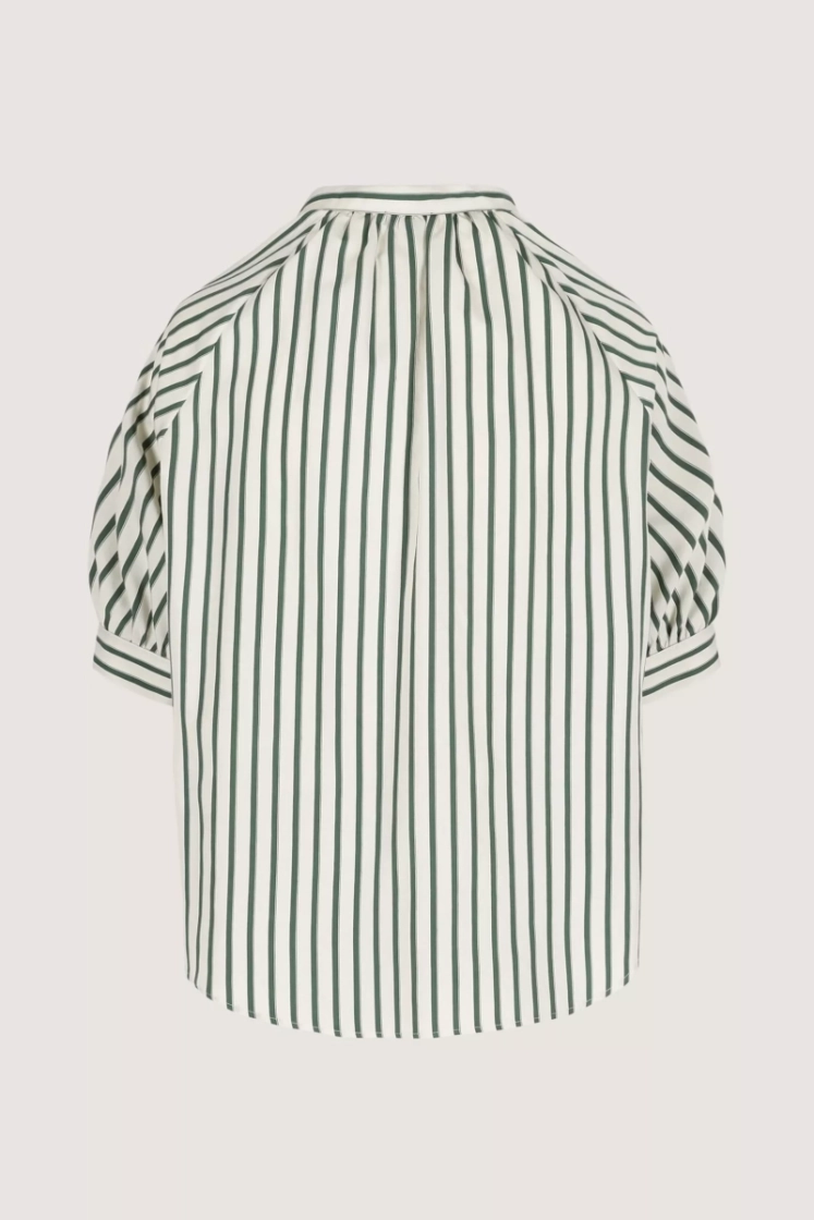  655 POSY GREEN