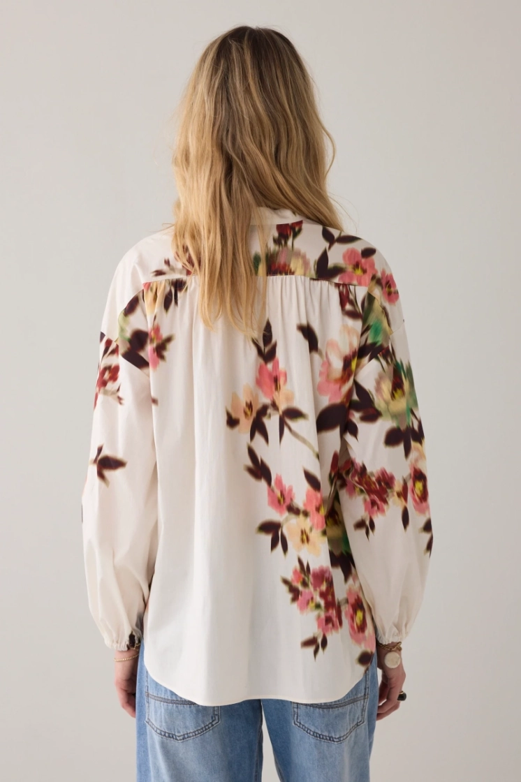  120 multicolour