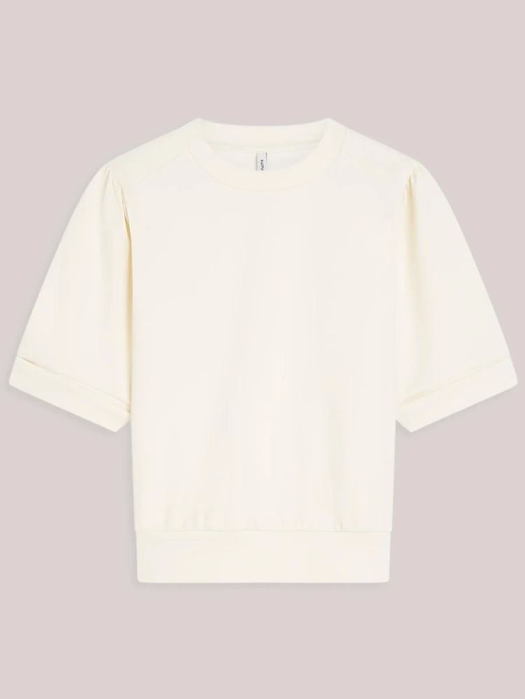  122 ivory
