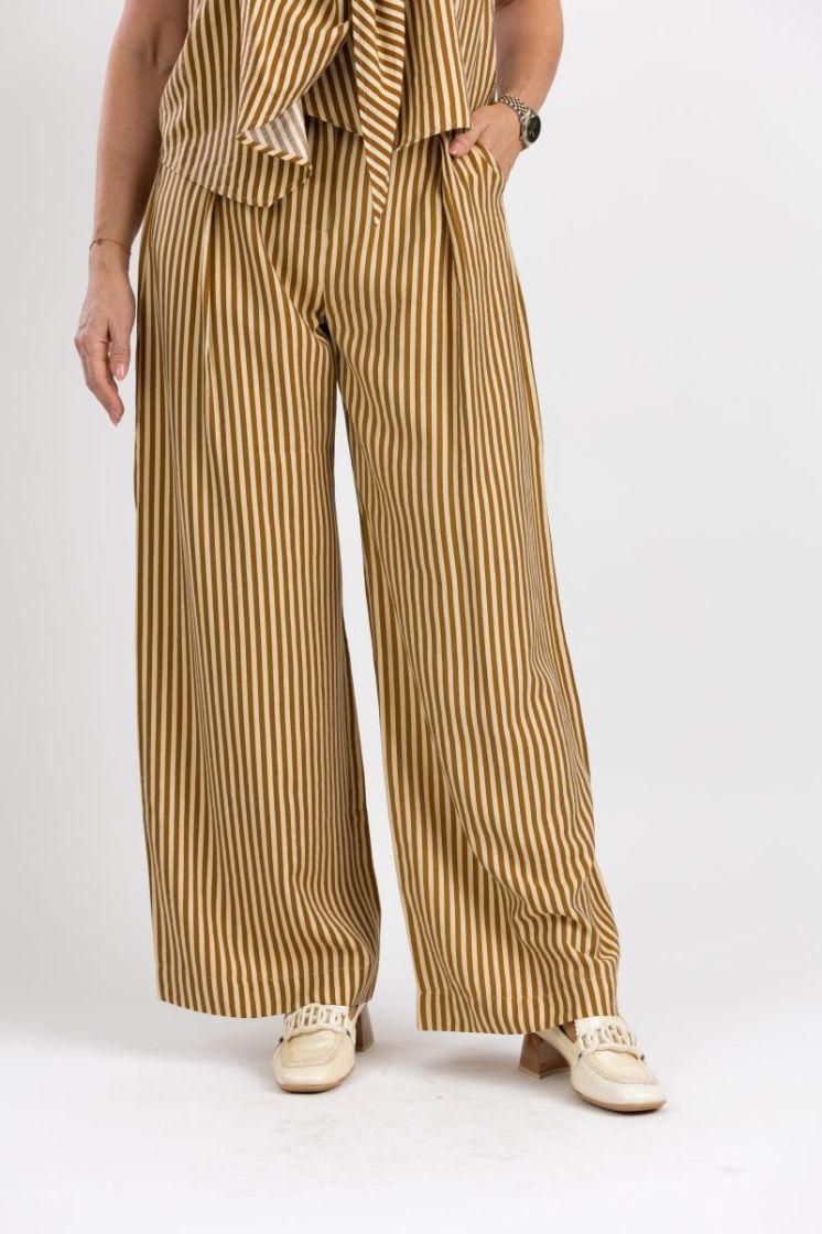  15 camel