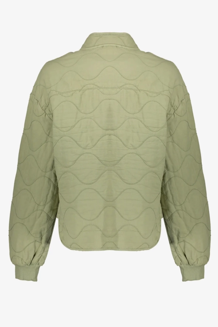  000560 olive