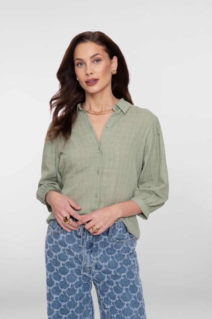  000560 olive