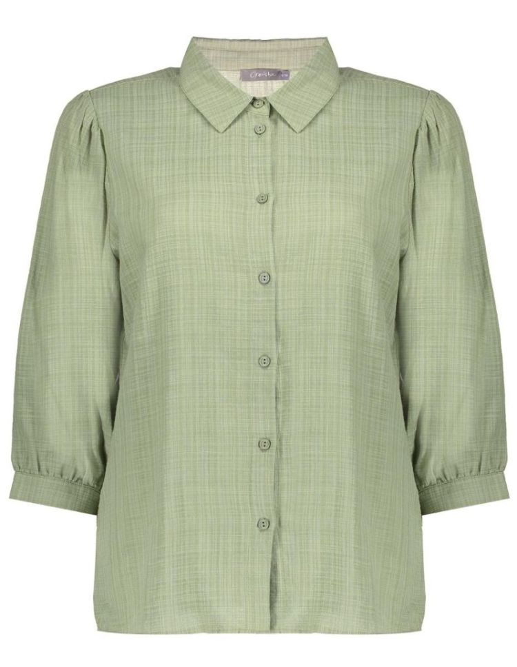  000560 olive
