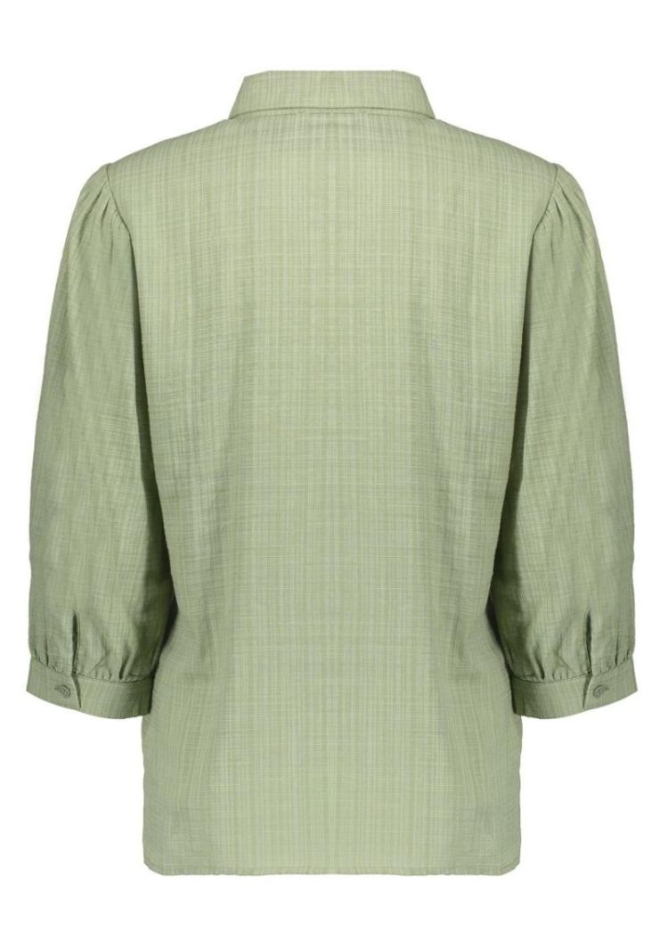  000560 olive