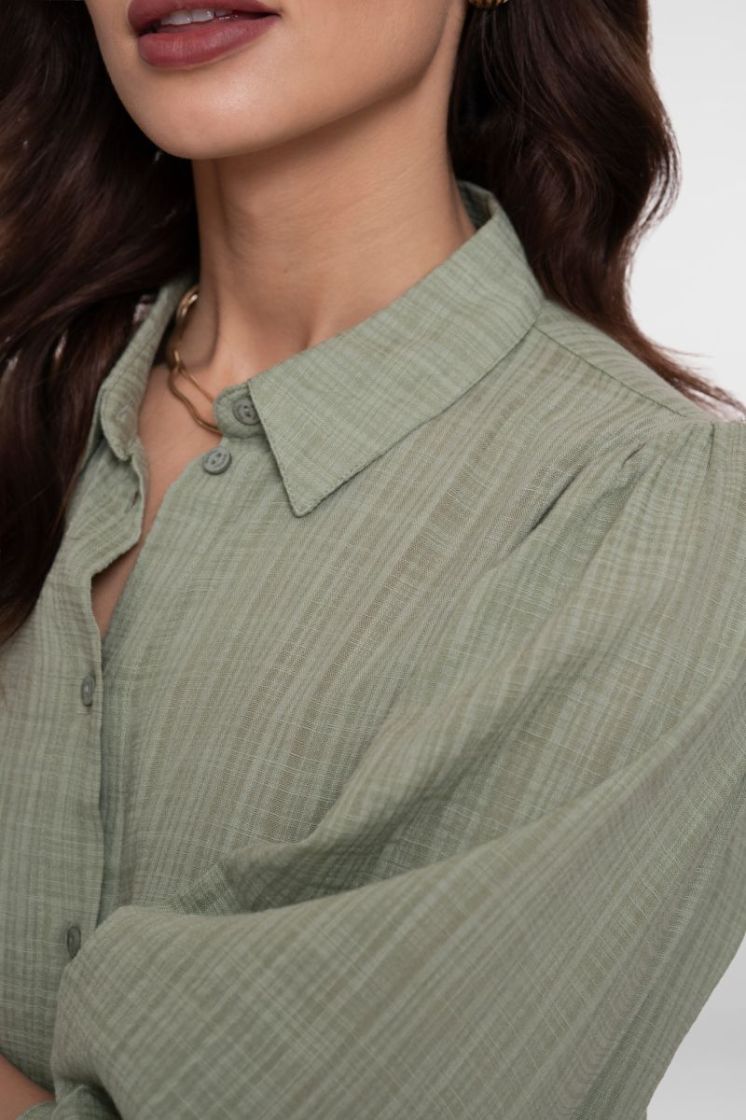  000560 olive