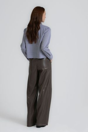  238 brown