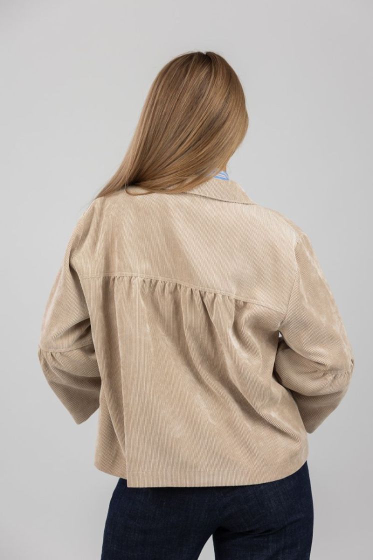  millep camel