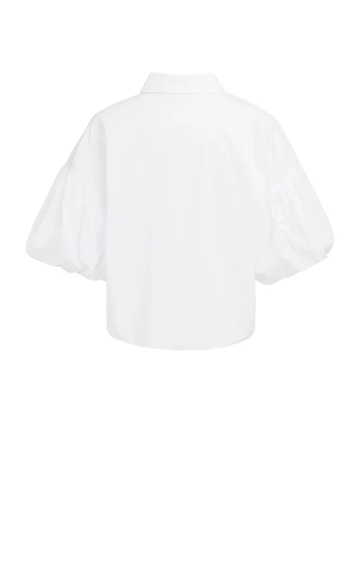 00000 PURE WHIT