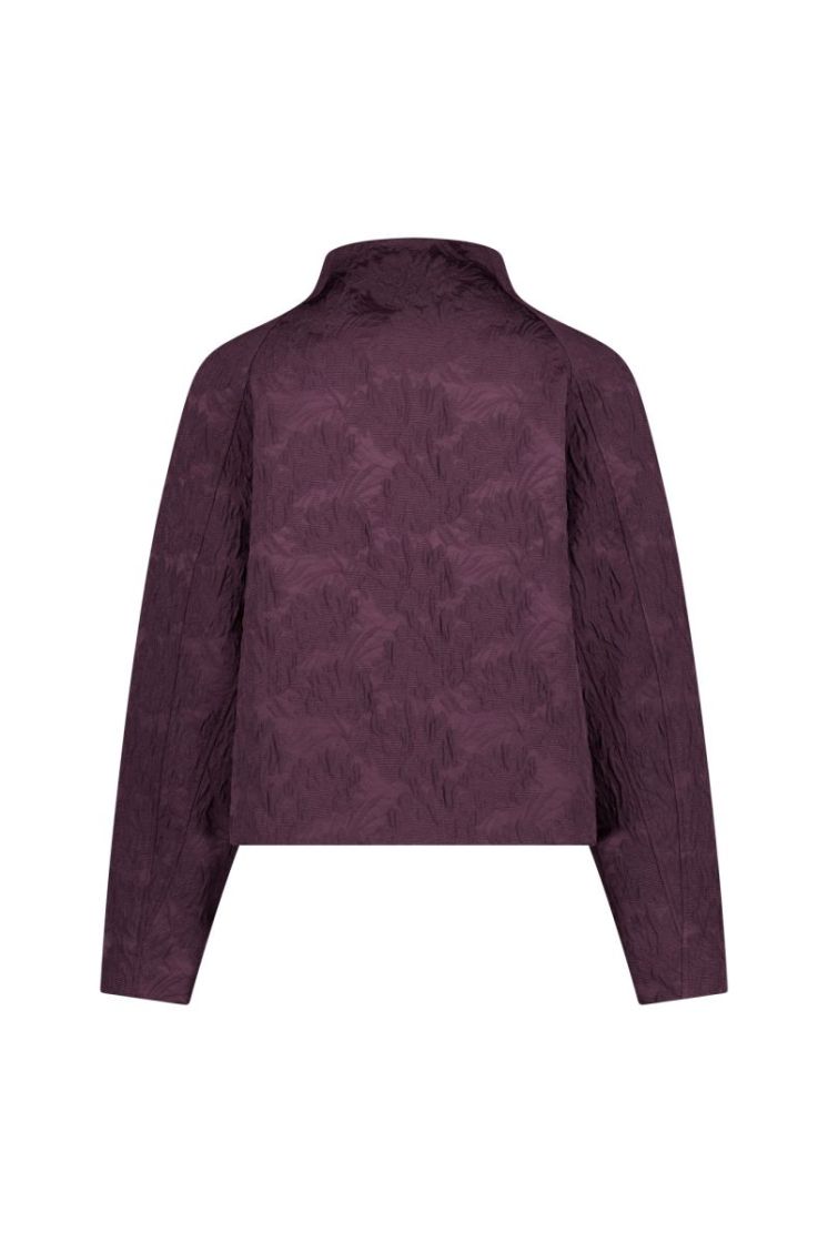  4800 aubergine
