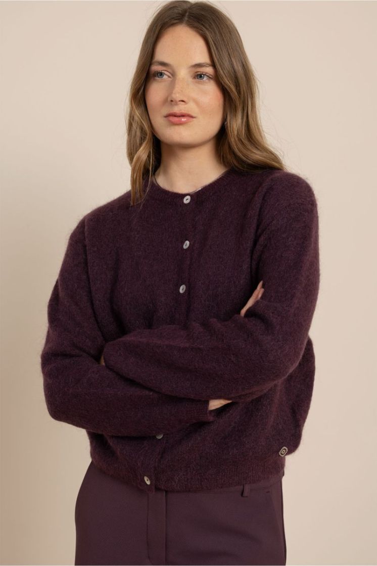  4800 aubergine