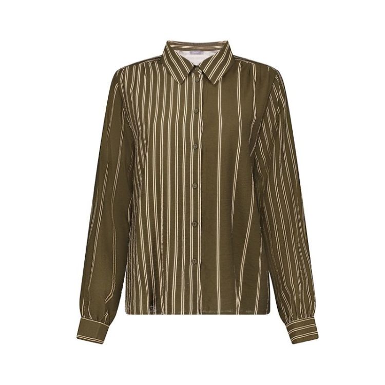  000560 olive