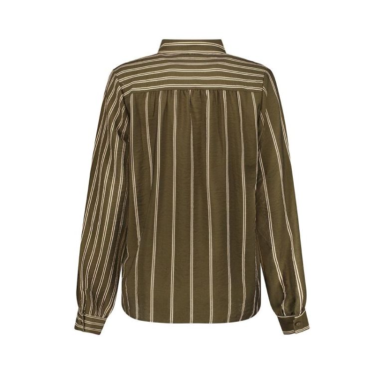  000560 olive