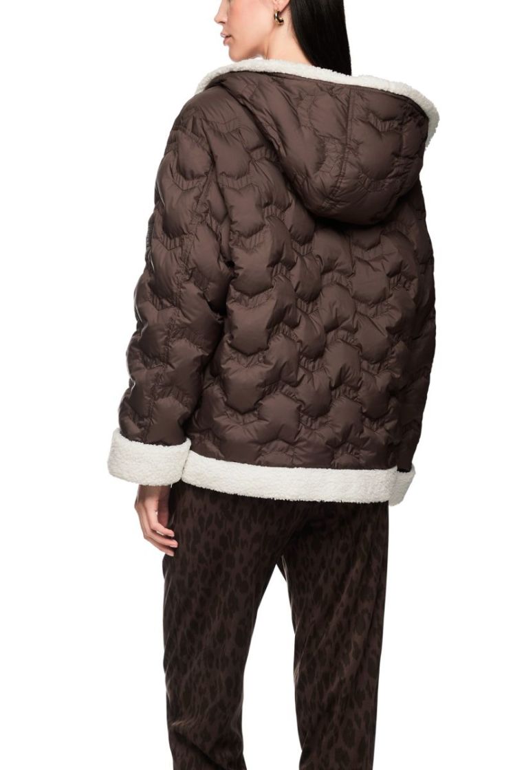 697 seal brown